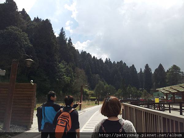 阿里山