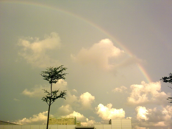 rainbow