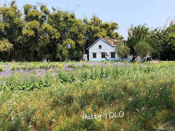 潭雅神綠園道田邊小屋.jpg