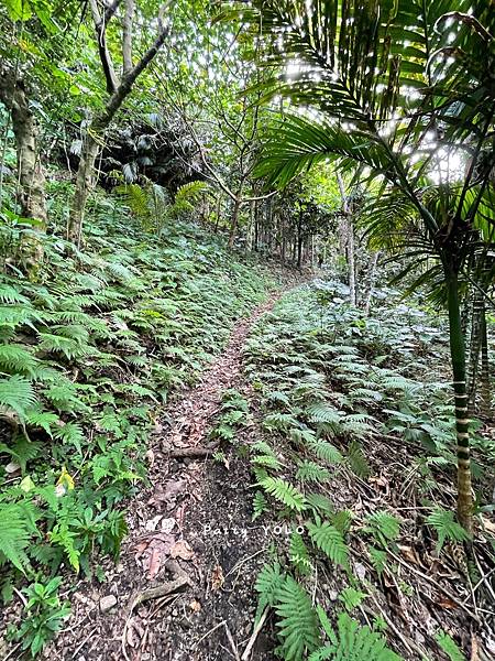 蘭嶼朗島祈禱山3.jpg