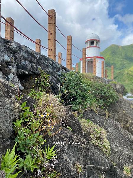 舊蘭嶼燈塔的花.jpg