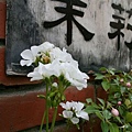 Tainan 308.jpg