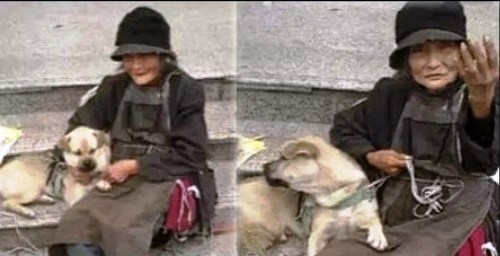 投胎變狗.jpg 投胎變狗.jpg