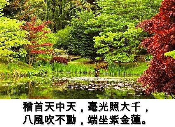 八風吹不動.jpg 八風吹不動.jpg
