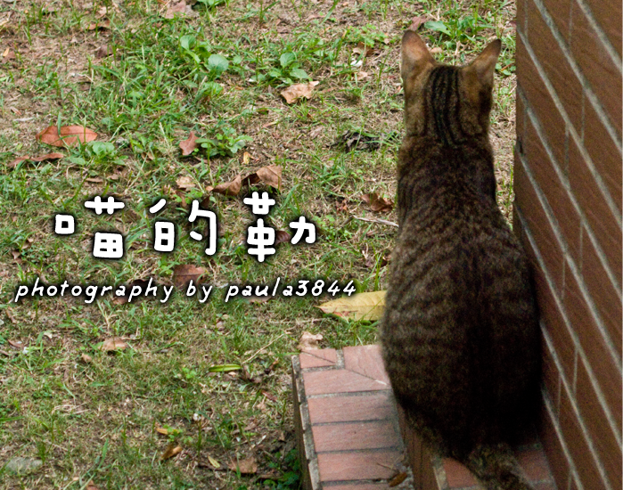 1.png 1.png
