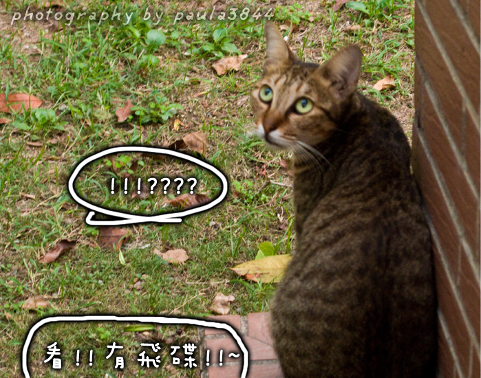 3.png 3.png