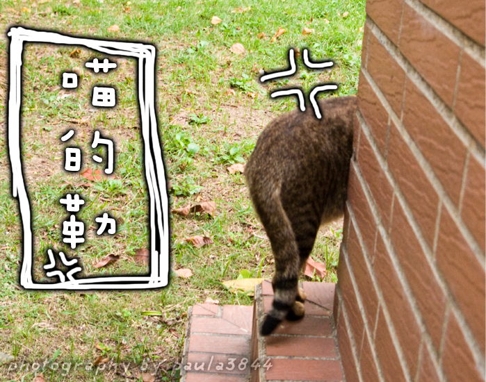 9.png 9.png