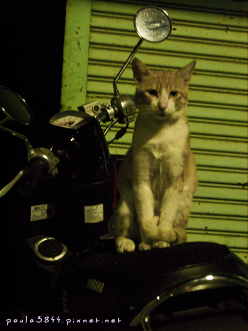 IMG_2265.png IMG_2265.png