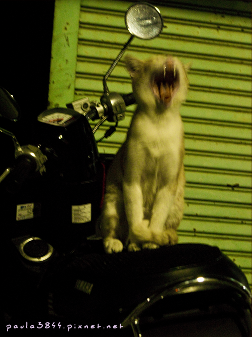 IMG_2268.png IMG_2268.png