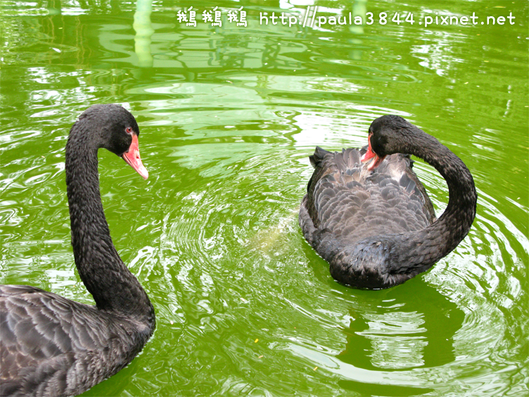 IMG_2342.png IMG_2342.png