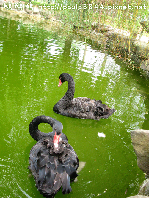 IMG_2356.png IMG_2356.png