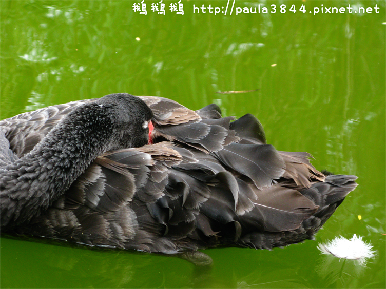 IMG_2358.png IMG_2358.png