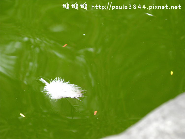 IMG_2359.png IMG_2359.png