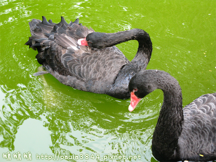 IMG_2369.png IMG_2369.png