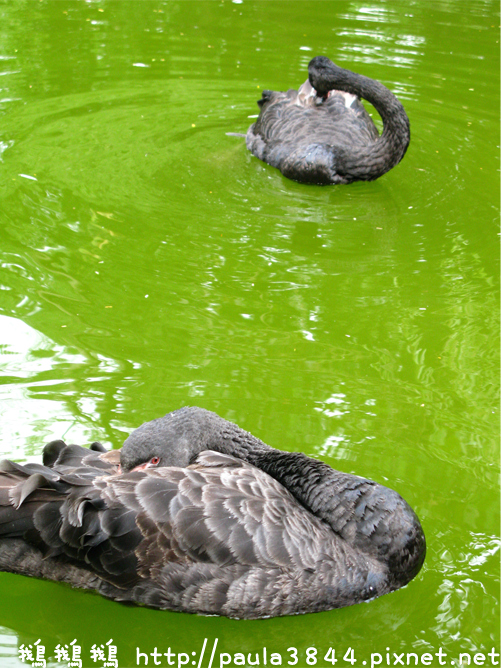 IMG_2371.png IMG_2371.png