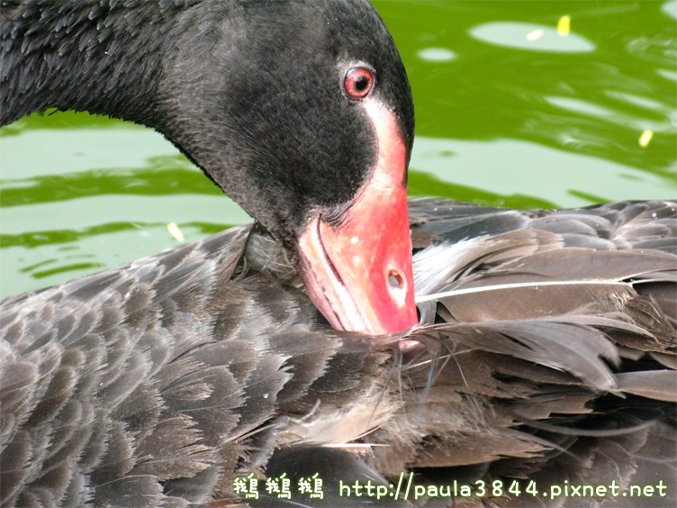 IMG_2379.png IMG_2379.png