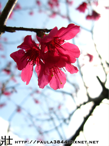 IMG_4557.png IMG_4557.png