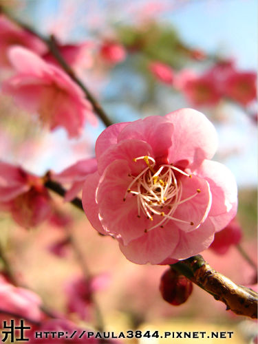 IMG_4574.png IMG_4574.png