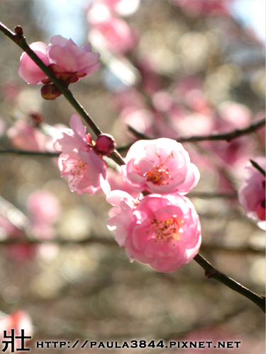 IMG_4576.png IMG_4576.png