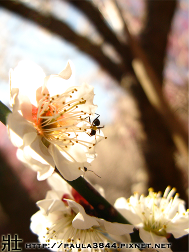 IMG_4580.png IMG_4580.png