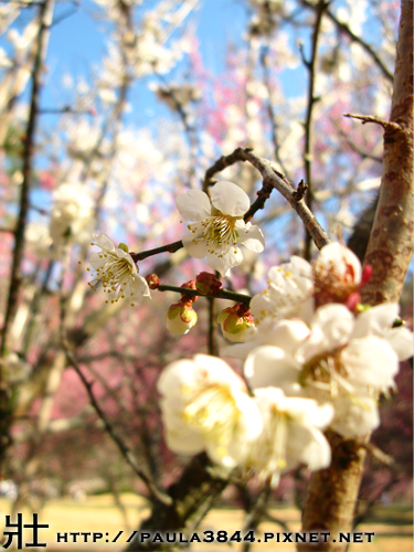 IMG_4590.png IMG_4590.png