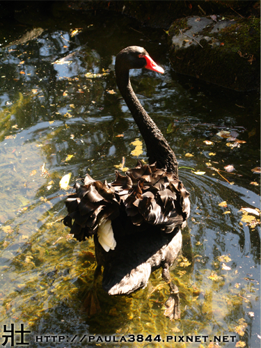 IMG_4601.png IMG_4601.png