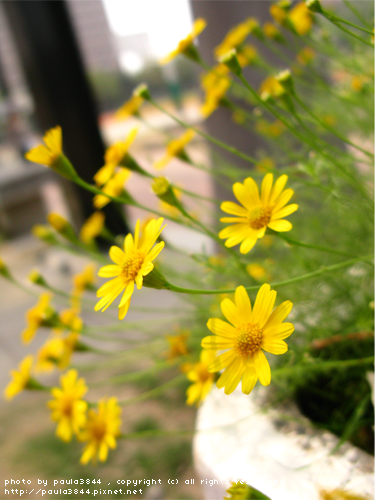 IMG_4895.png IMG_4895.png