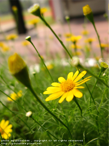 IMG_4896.png IMG_4896.png
