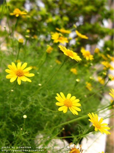 IMG_4898.png IMG_4898.png