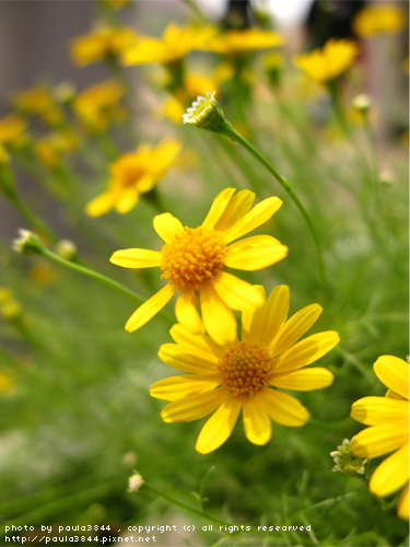 IMG_4901.png IMG_4901.png