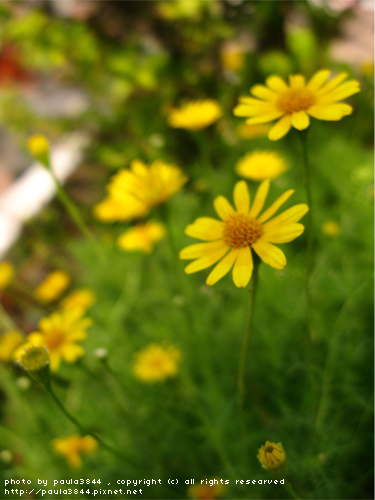 IMG_4905.png IMG_4905.png