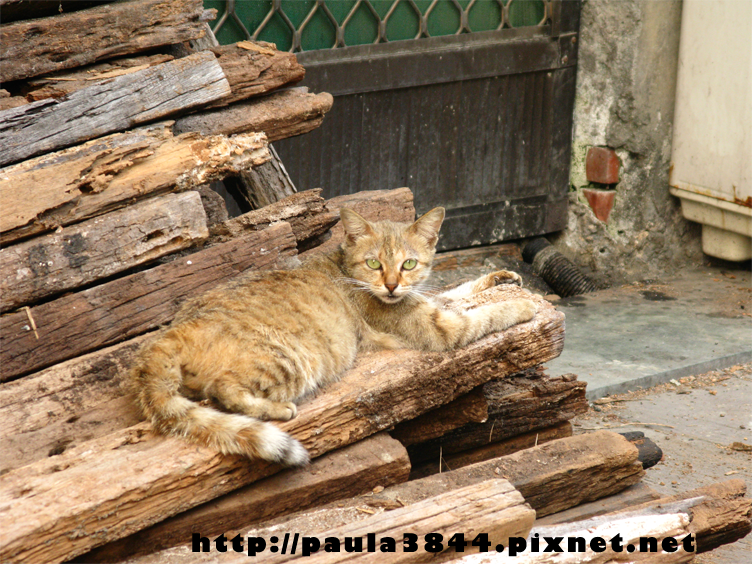 IMG_4907.png IMG_4907.png
