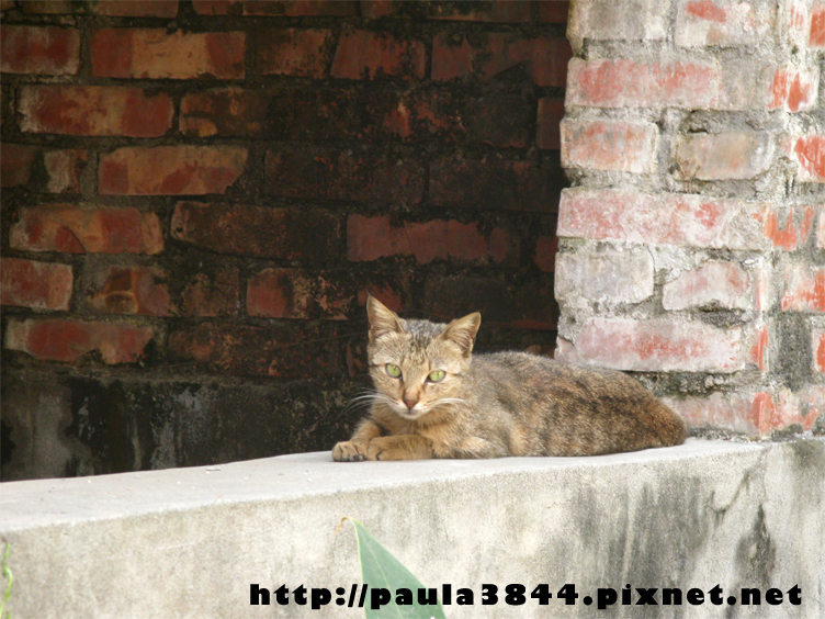 IMG_4913.png IMG_4913.png