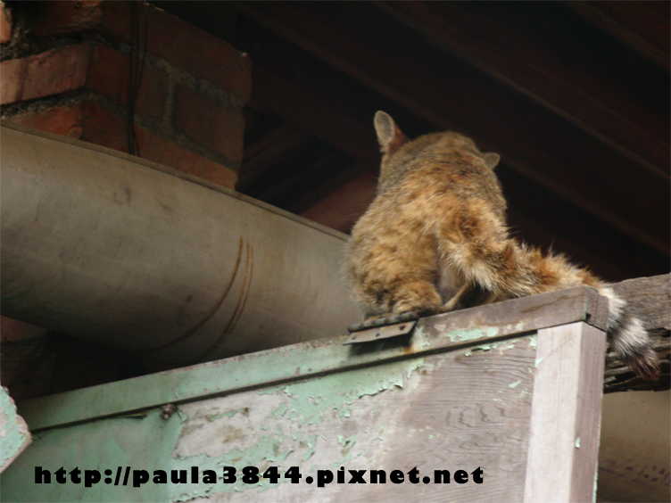 IMG_4919.png IMG_4919.png