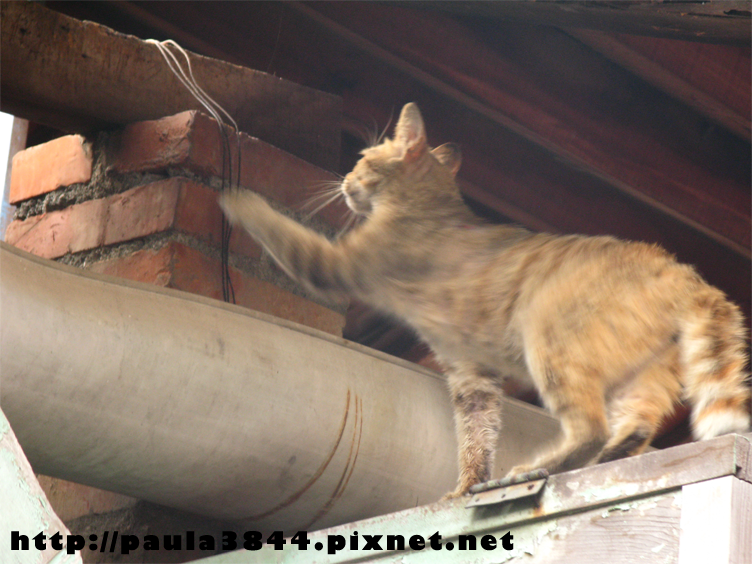 IMG_4920.png IMG_4920.png