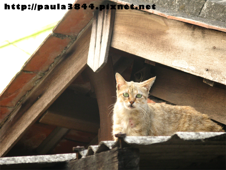 IMG_4921.png IMG_4921.png