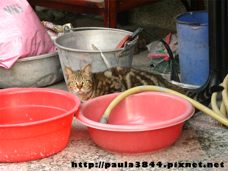 IMG_4924.png IMG_4924.png