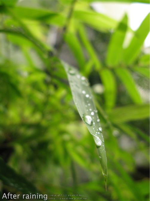 IMG_5021.png IMG_5021.png