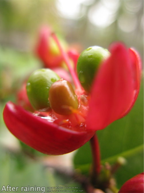 IMG_5046.png IMG_5046.png