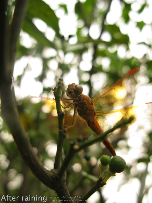 IMG_5118.png IMG_5118.png