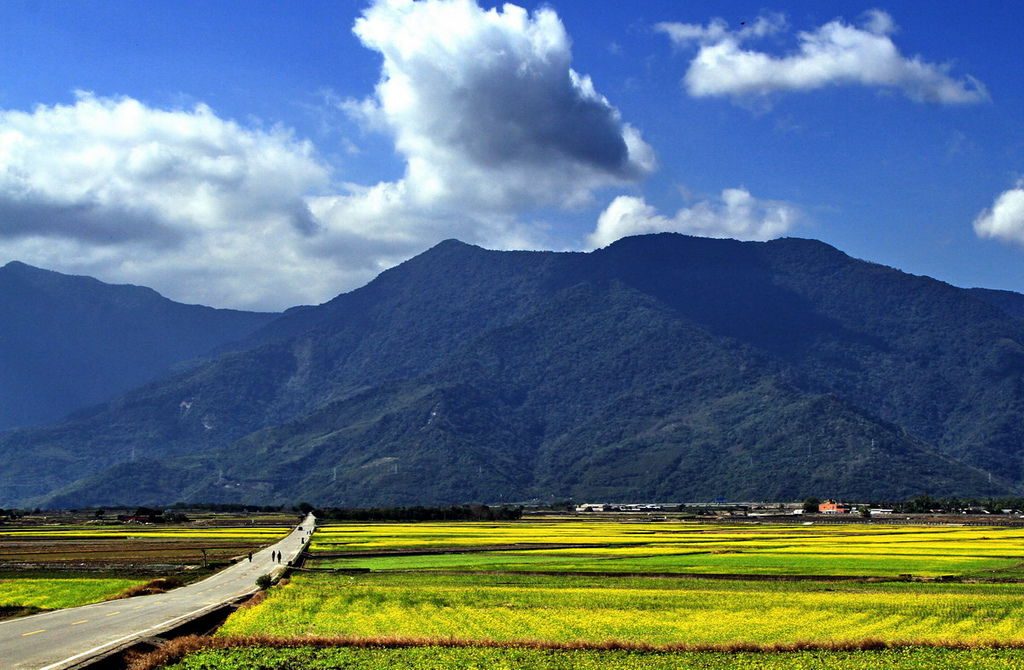 台東池上05.jpg