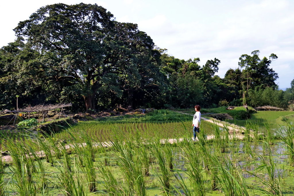 茶山古道32.jpg