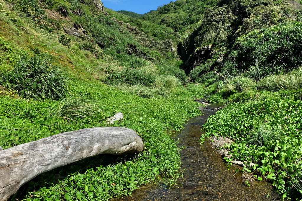 阿塱壹古道18.jpg