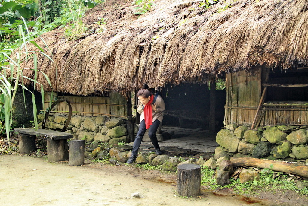 樹木博物館21.jpg