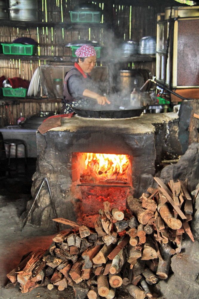 樹木博物館38.JPG