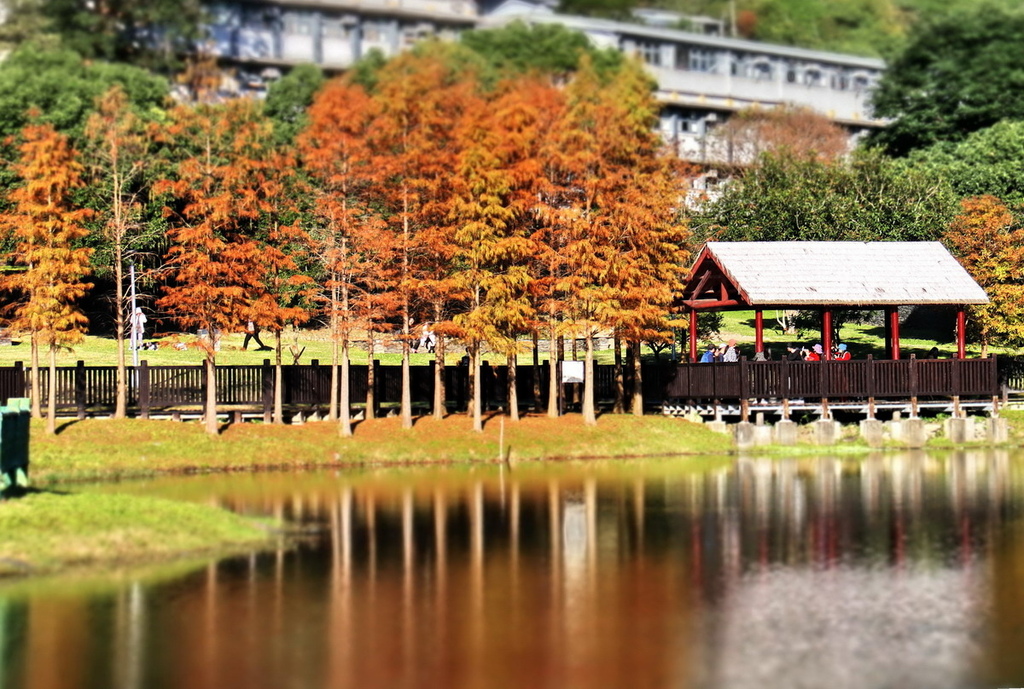 原住民公園06.JPG