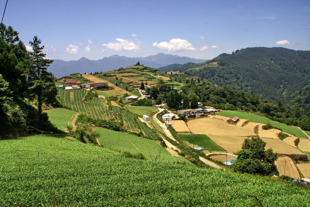 合歡溪步道02.JPG