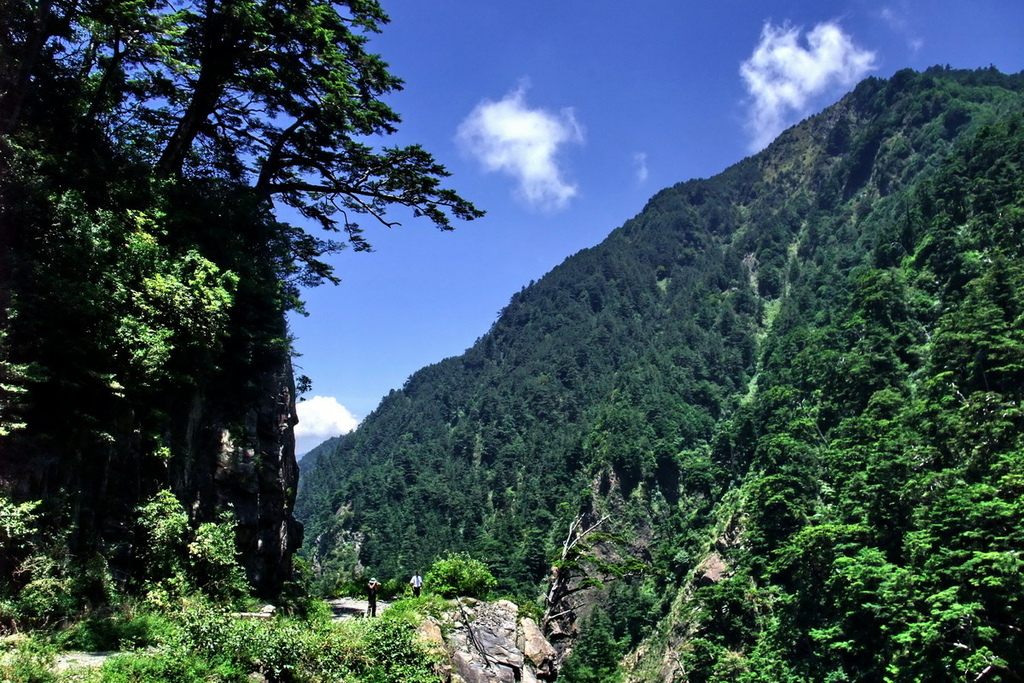 合歡溪步道21.jpg