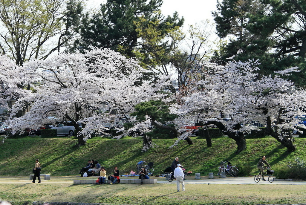 京都半木之道25.jpg