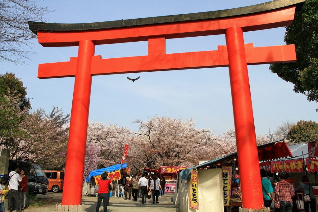 京都平野神社02.JPG